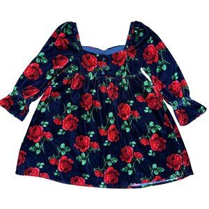 NEW Janie & Jack Girls Velvet Rose Dress Size 5 Red Green Floral Blue